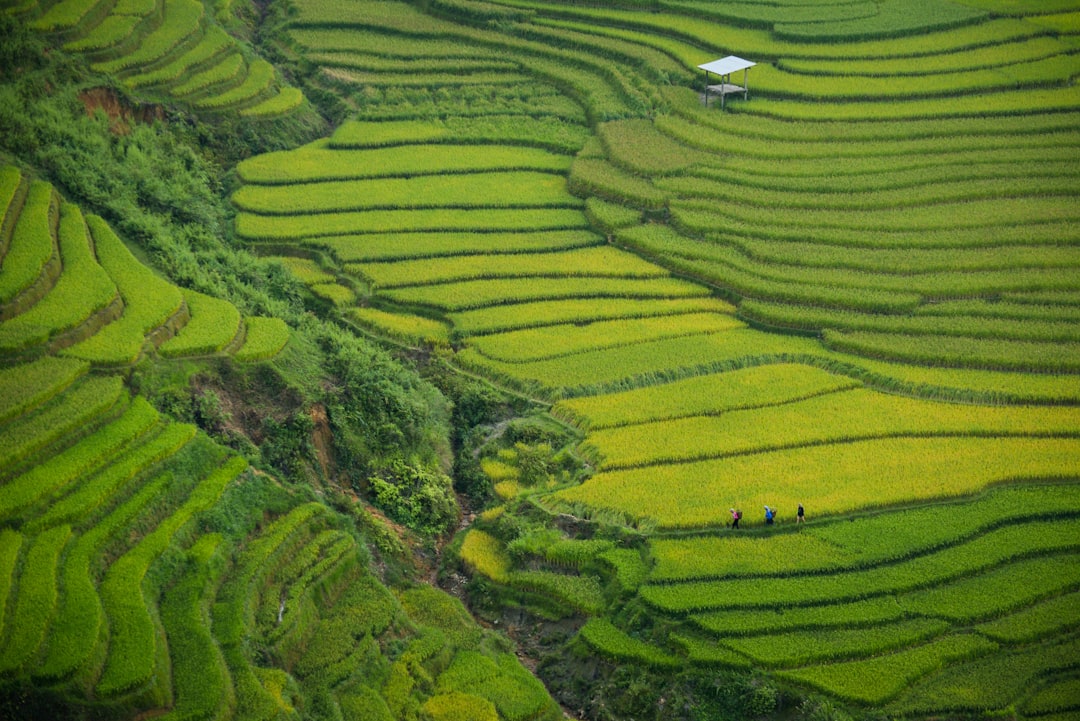 Ubud es la joya escondida de Bali que todos los viajeros argentinos deberían conocer