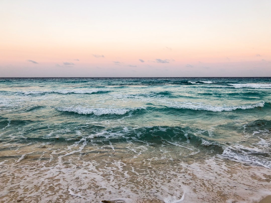 Cancún con tu perro: los mejores hoteles donde tu compañero peludo es bienvenido