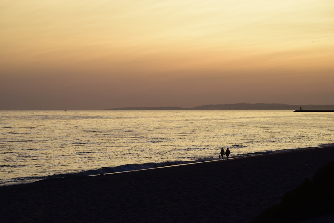 Playas para llevar a tu perro en Portugal: la guía que necesitabas antes de viajar