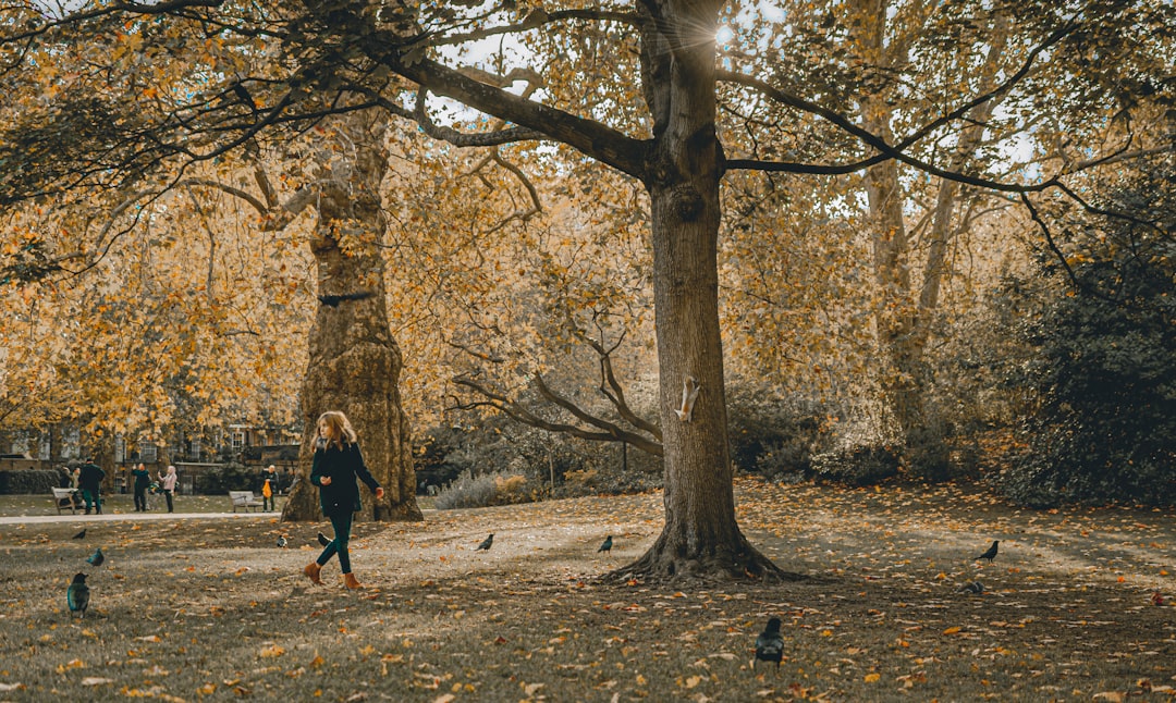 Londres con tu perro: los hoteles pet friendly donde tu compañero peludo viaja como VIP