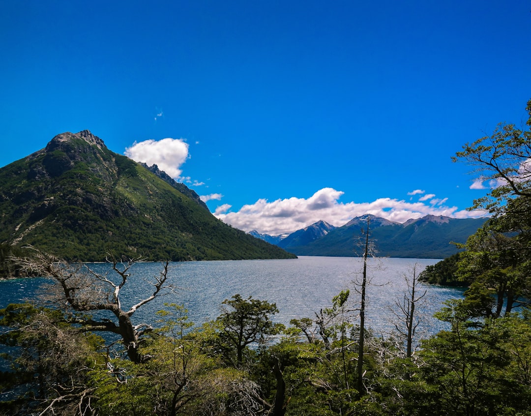 Bariloche con tu perro: la aventura patagónica que ambos necesitaban