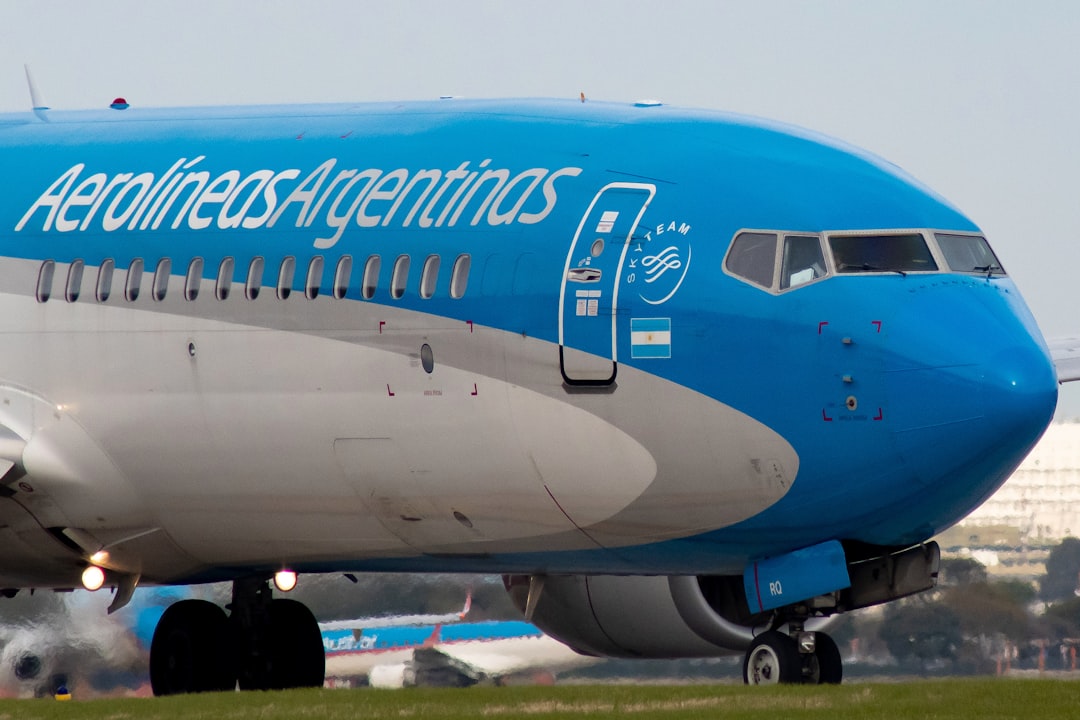 Viajar con tu perro en avión: la guía que necesitabas antes de despegar desde Ezeiza
