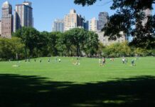 Nueva York con tu perro: los mejores hoteles pet friendly para disfrutar en familia