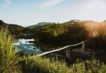 Paraná, Entre Ríos: La ciudad donde el río te llama para la aventura pesquera que siempre soñaste