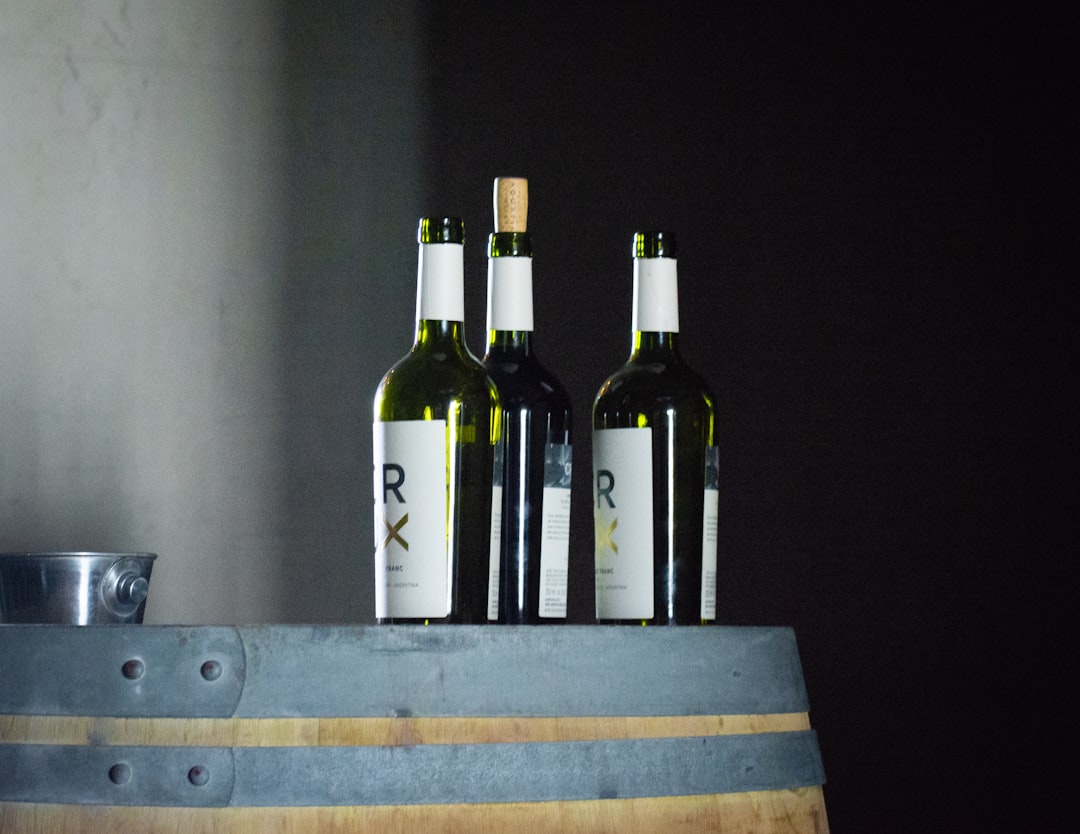 Por qué Mendoza en vendimia es la mejor época para recorrer sus bodegas legendarias