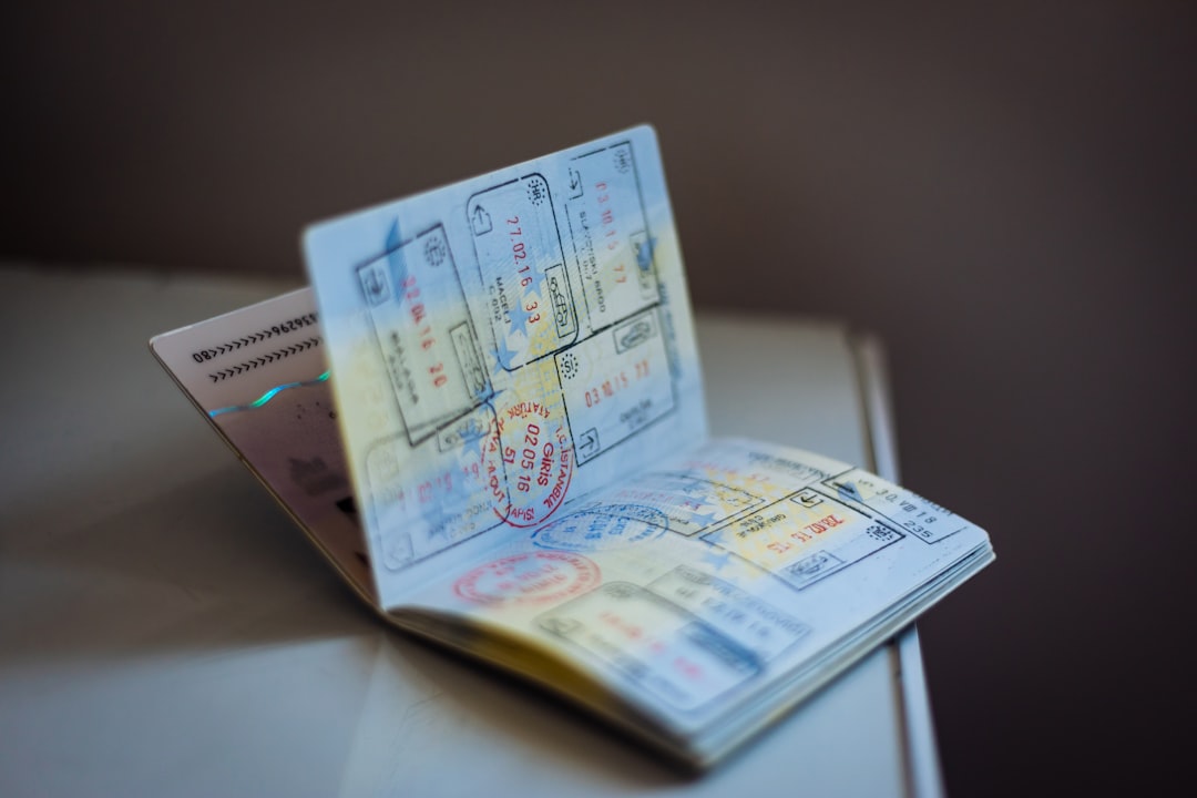Viajar con tu perro al extranjero: la guía completa para que no se complique en el aeropuerto