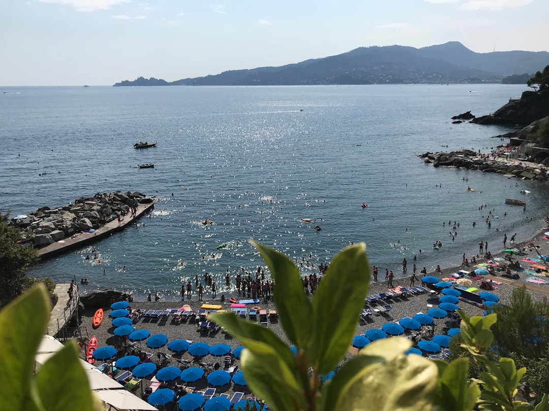 Italia te espera: las playas donde tu perro es la estrella del verano