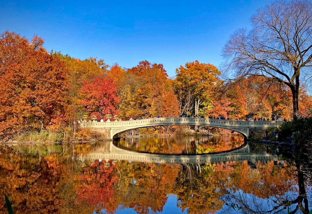 Nueva York en otoño: por qué esta es la mejor época para descubrir la ciudad que nunca duerme