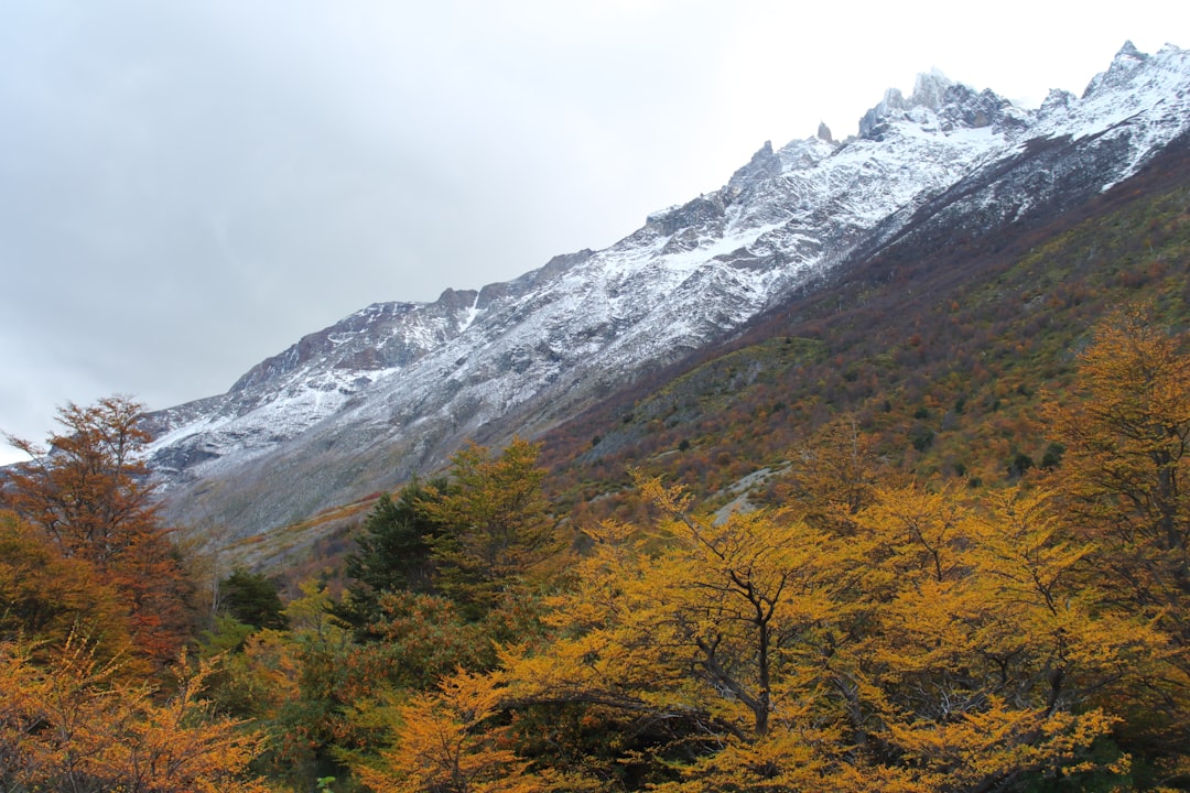 Por qué San Martín de los Andes en otoño es el viaje que tenés que hacer este año