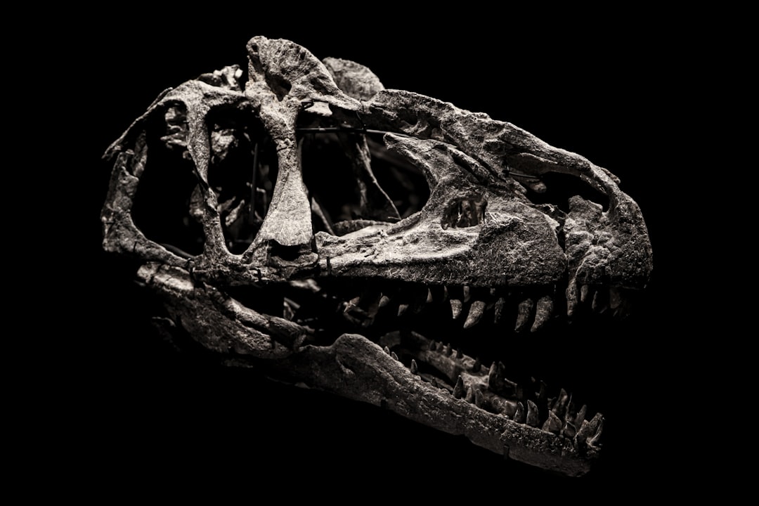El Museo de La Plata: la catedral de los dinosaurios donde la historia te mira a los ojos