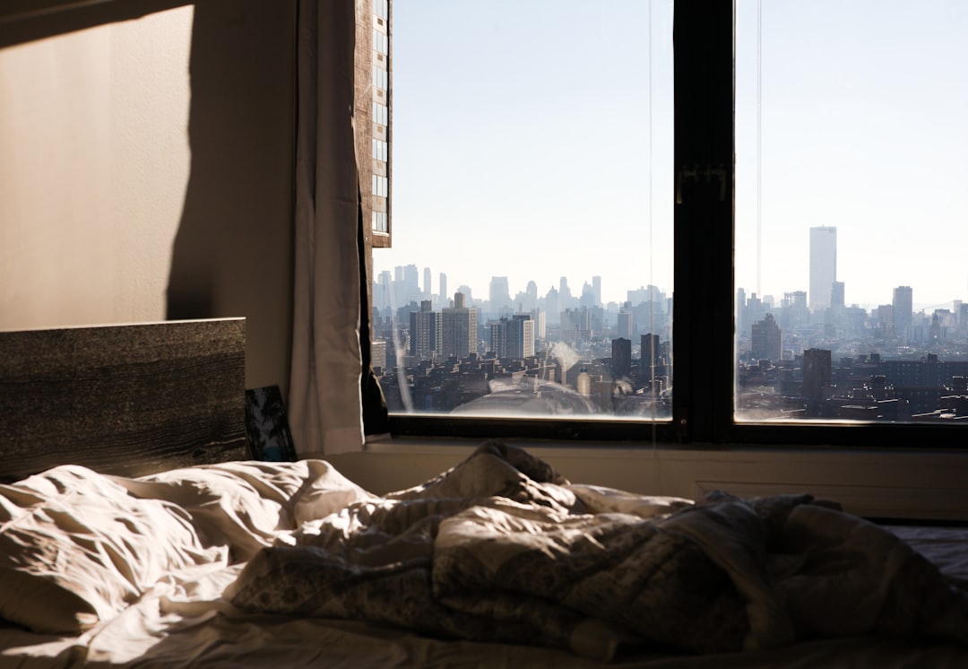 Nueva York con tu perro: los mejores hoteles pet-friendly para disfrutar la Gran Manzana juntos