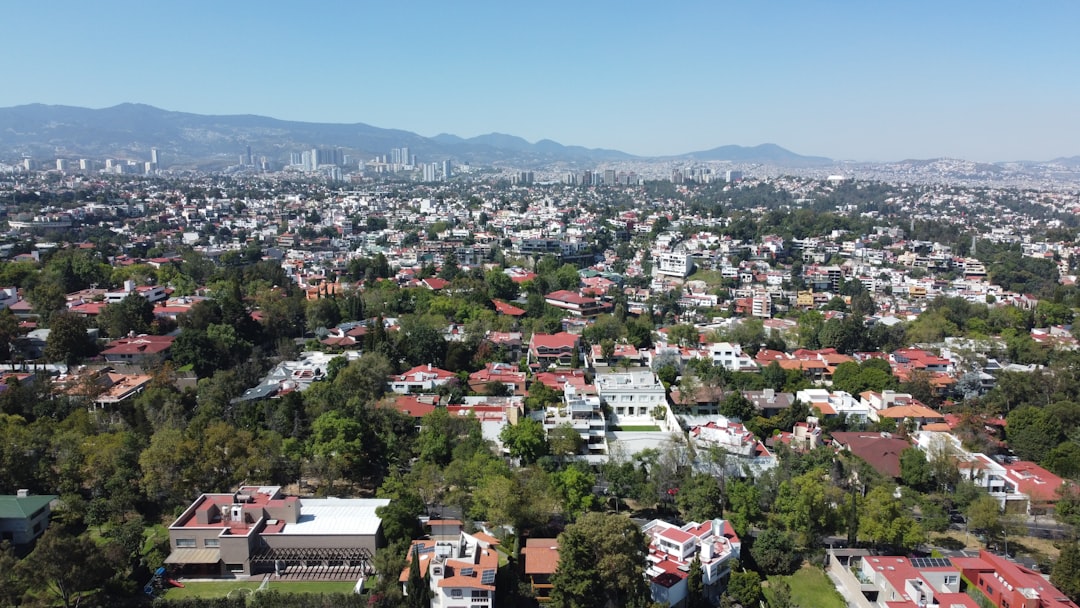 Por qué Ciudad de México es el viaje que todo argentino necesita hacer ahora mismo