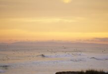 El kitesurfing en San Clemente del Tuyú: cómo aprender a volar sobre el agua en solo una semana