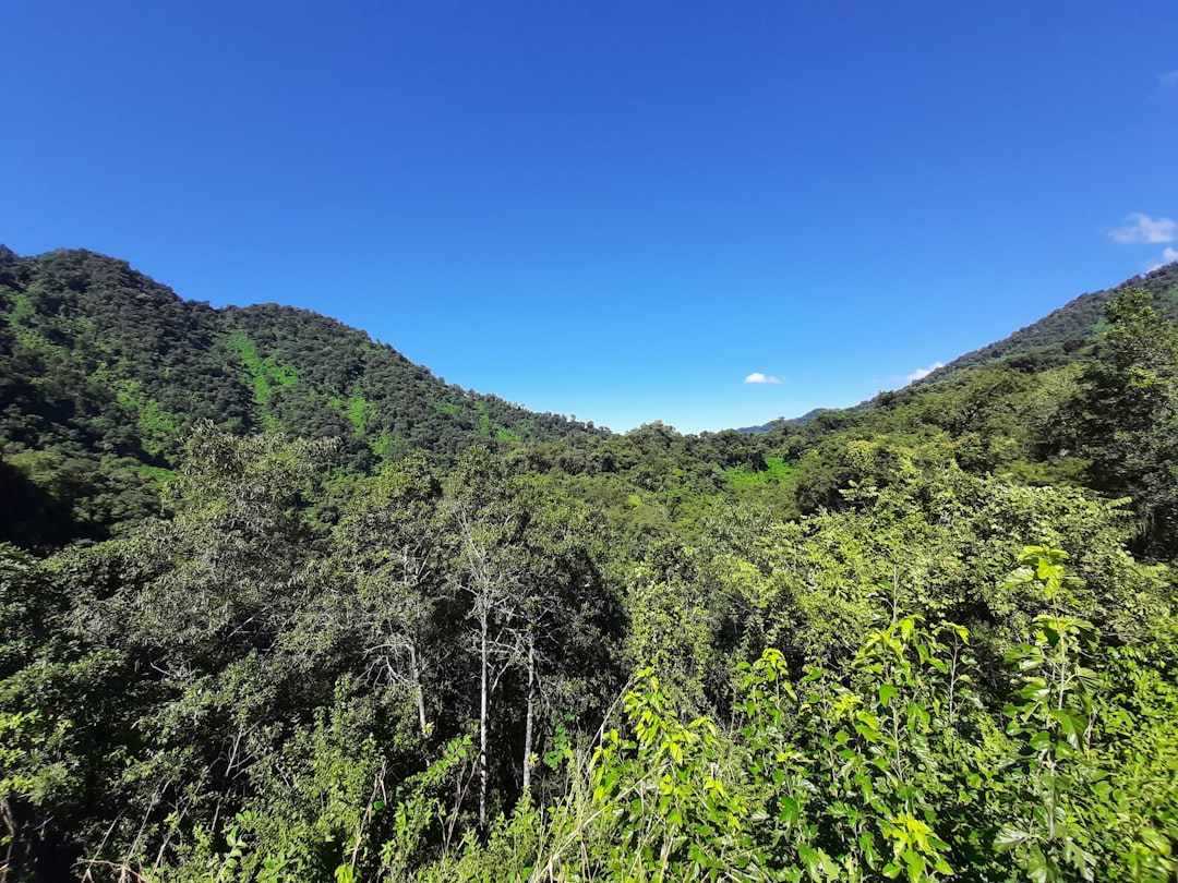 Misiones: donde el mate es más que una bebida, es un peregrinaje sagrado