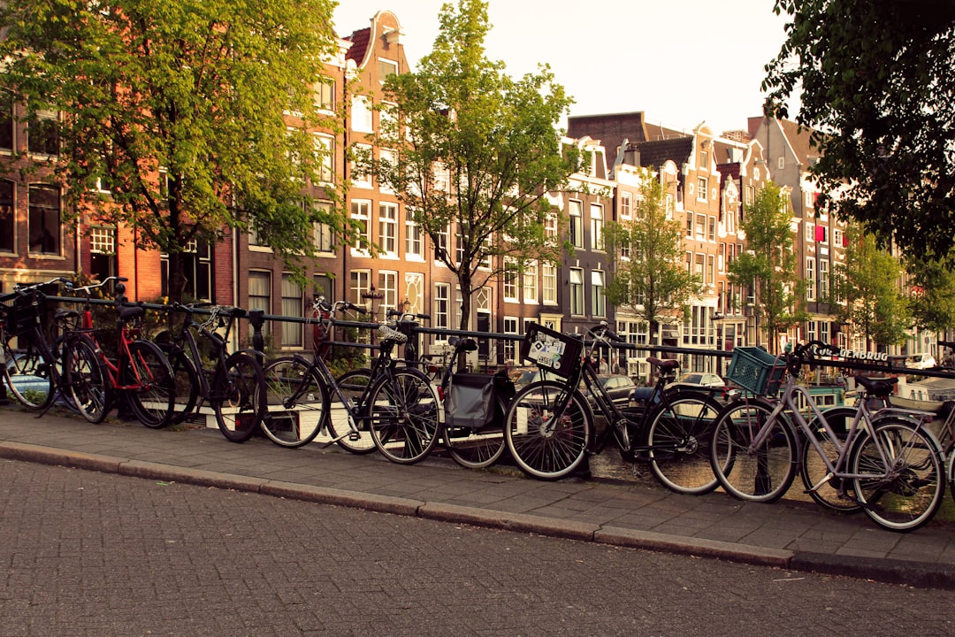 Pedalear por Ámsterdam: la guía que necesitás antes de subirte a una bici en la ciudad de los canales