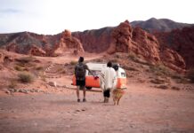 Viajar con tu perro al extranjero: la guía completa para que no se complique en el aeropuerto