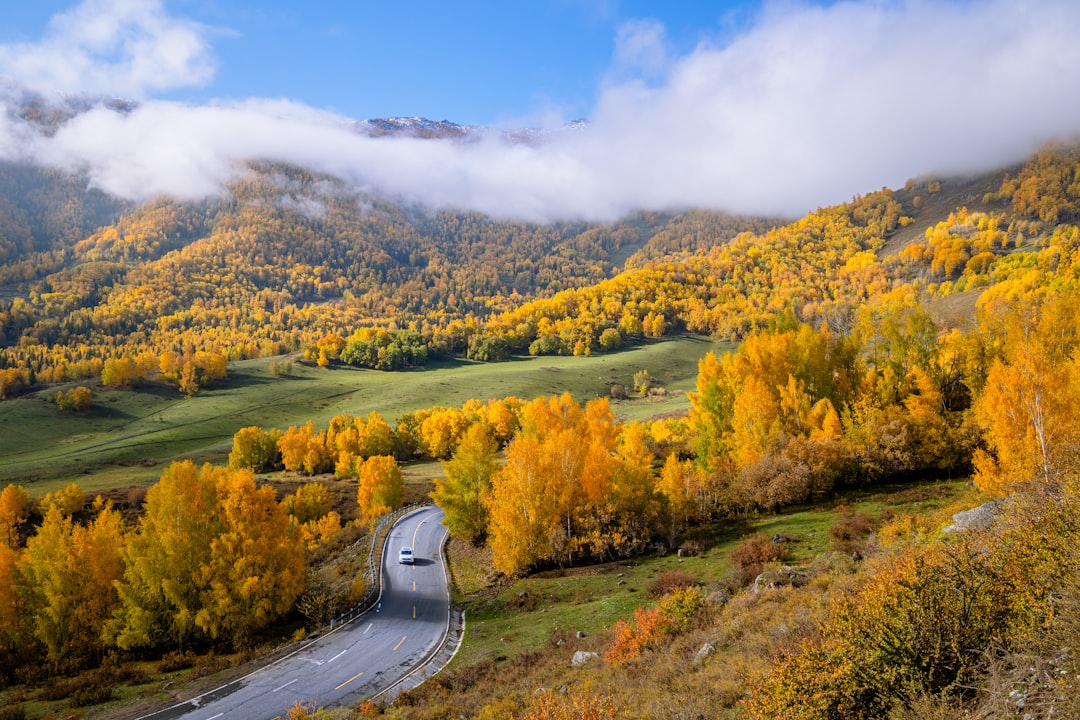Por qué San Martín de los Andes en otoño es el viaje que tenés que hacer este año