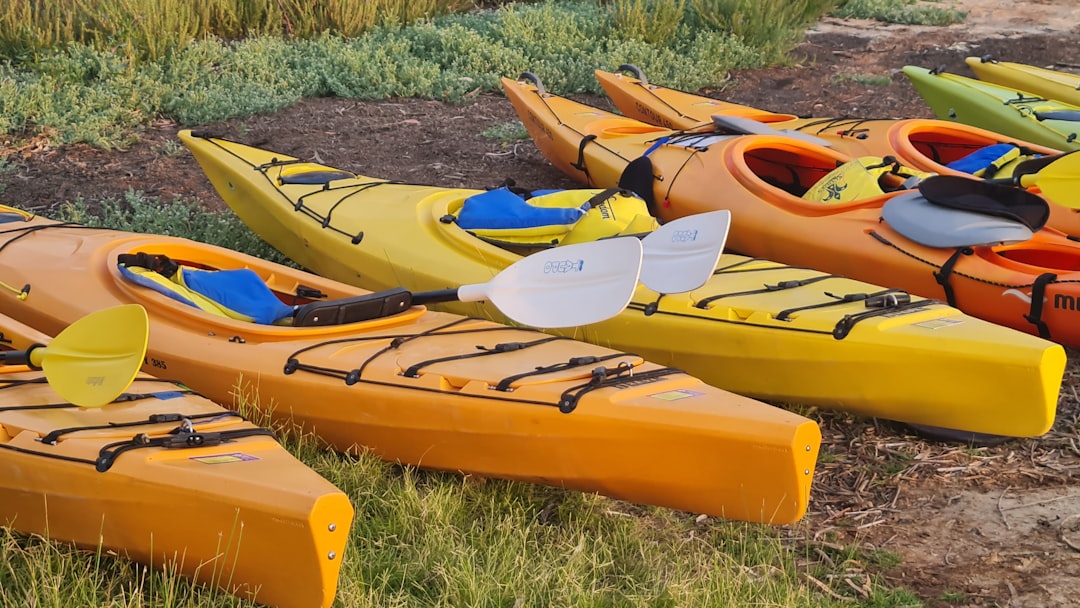 Aprendé a remar en el Delta del Tigre con instructores de la selección nacional