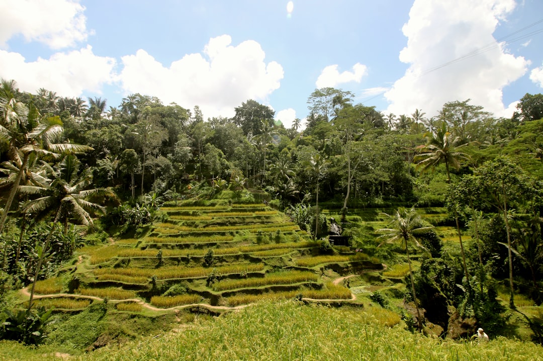 Ubud es la joya escondida de Bali que todos los viajeros argentinos deberían conocer