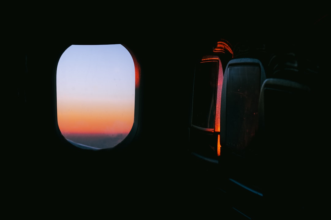 Viajar con tu perro en avión: la guía que necesitabas antes de despegar desde Ezeiza