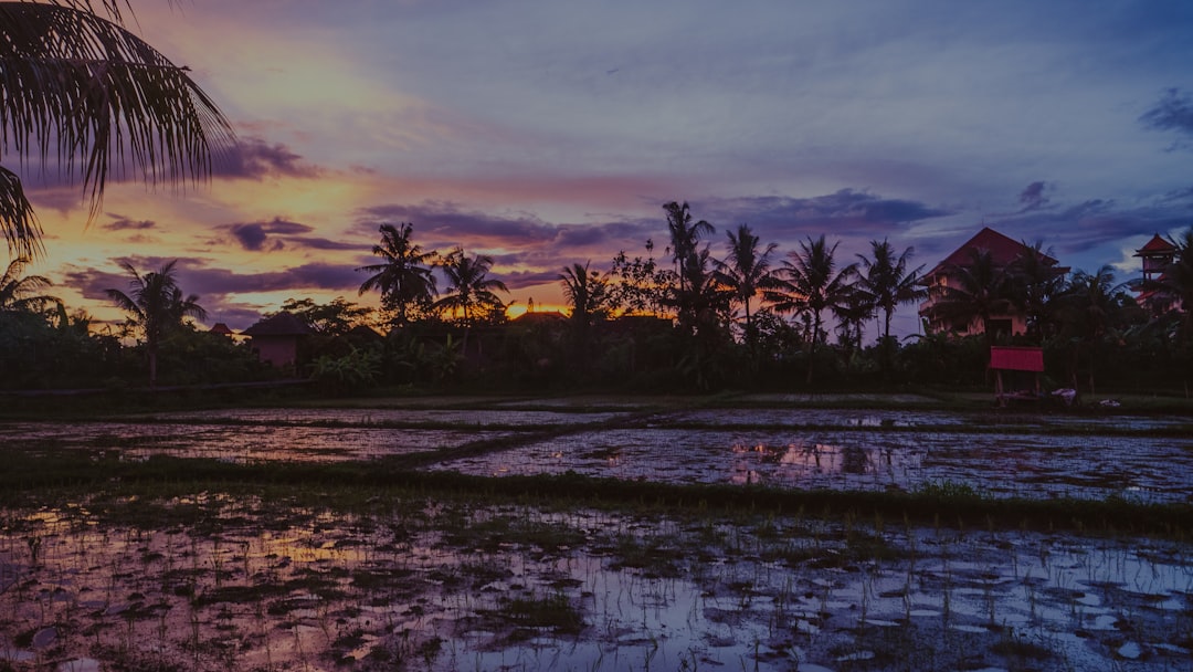 Ubud es el corazón espiritual de Bali y este es el itinerario perfecto para descubrirlo en 7 días
