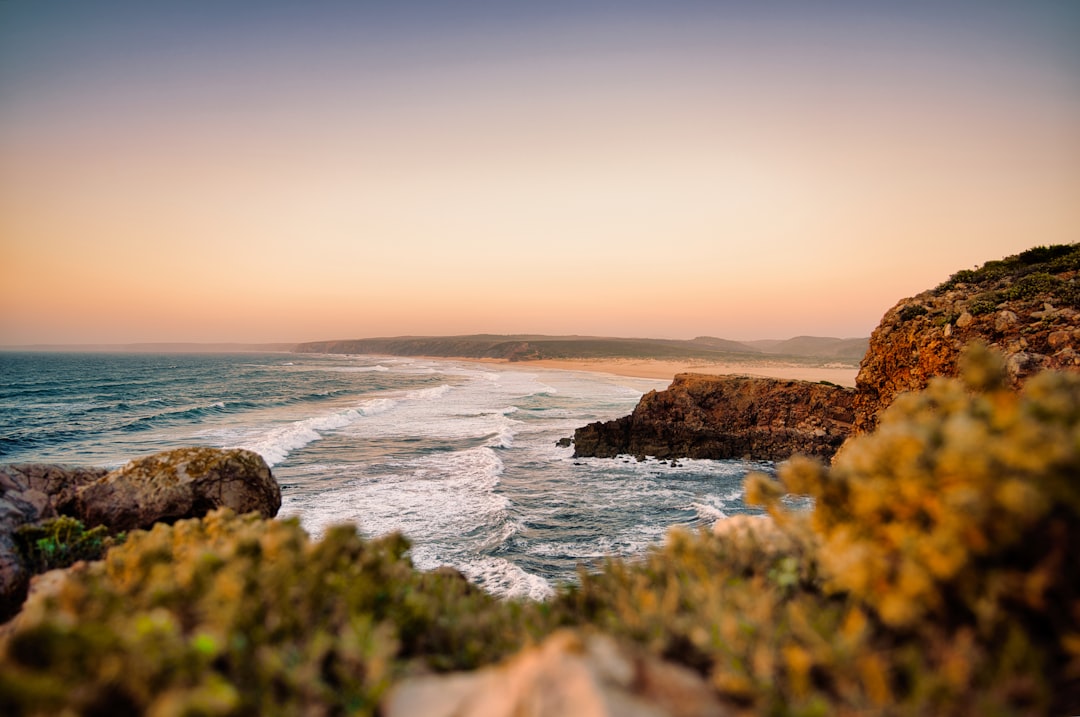 Playas para llevar a tu perro en Portugal: la guía que necesitabas antes de viajar