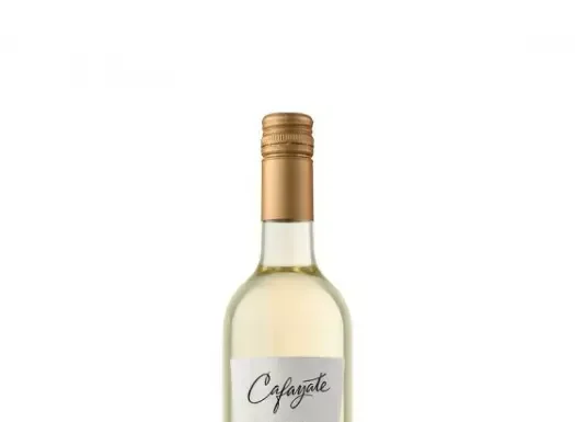 El Torrontés de Cafayate: por qué este vino blanco es la revelación que necesitás probar este verano