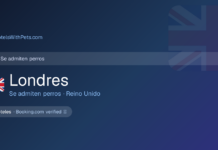 Londres te abre las puertas con tu perro: hoteles donde vos y tu amigo de 4 patas son bienvenidos