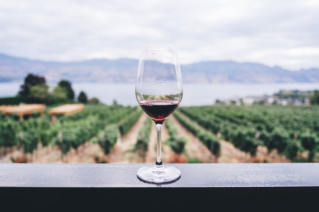 El Torrontés de Cafayate: por qué este vino blanco argentino es tu mejor razón para viajar a Salta