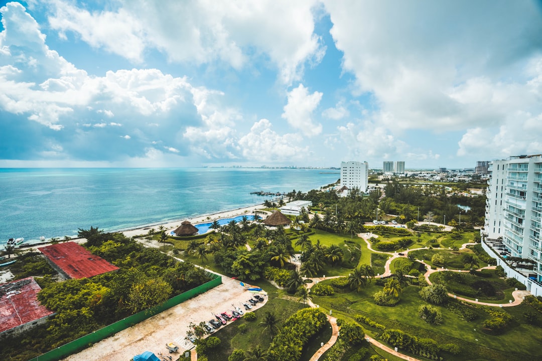 Cancún con tu perro: los mejores hoteles donde tu compañero peludo es bienvenido