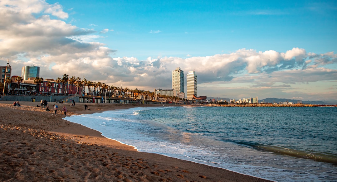 Barcelona con tu perro: la ciudad donde viajar con tu amigo de 4 patas es una aventura
