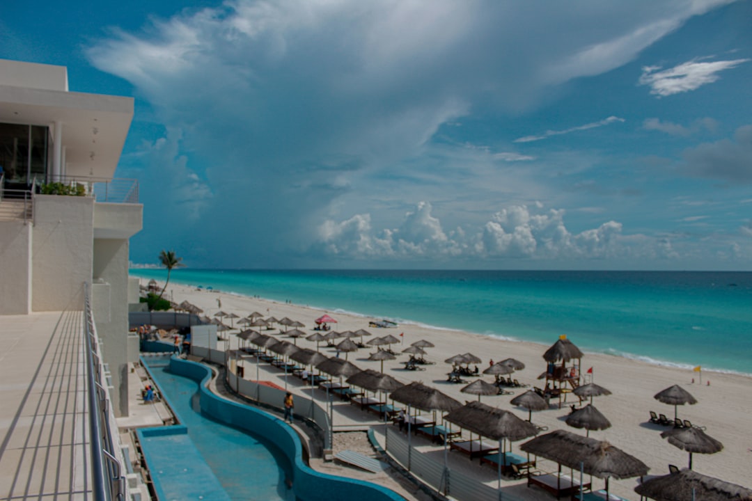 Cancún con tu perro: los hoteles donde tu compañero peludo es bienvenido