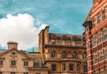 Londres con tu perro: los hoteles dog friendly donde tu compañero peludo es estrella