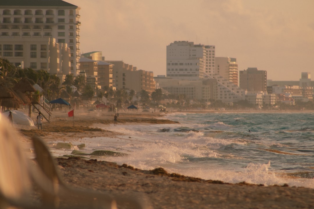 Cancún con tu perro: los mejores hoteles donde tu compañero peludo es bienvenido