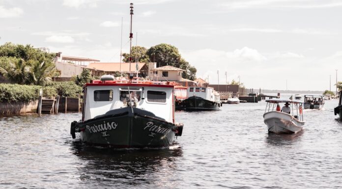 Pesca deportiva en Paraná: la aventura que los entrerrianos guardan para sí mismos