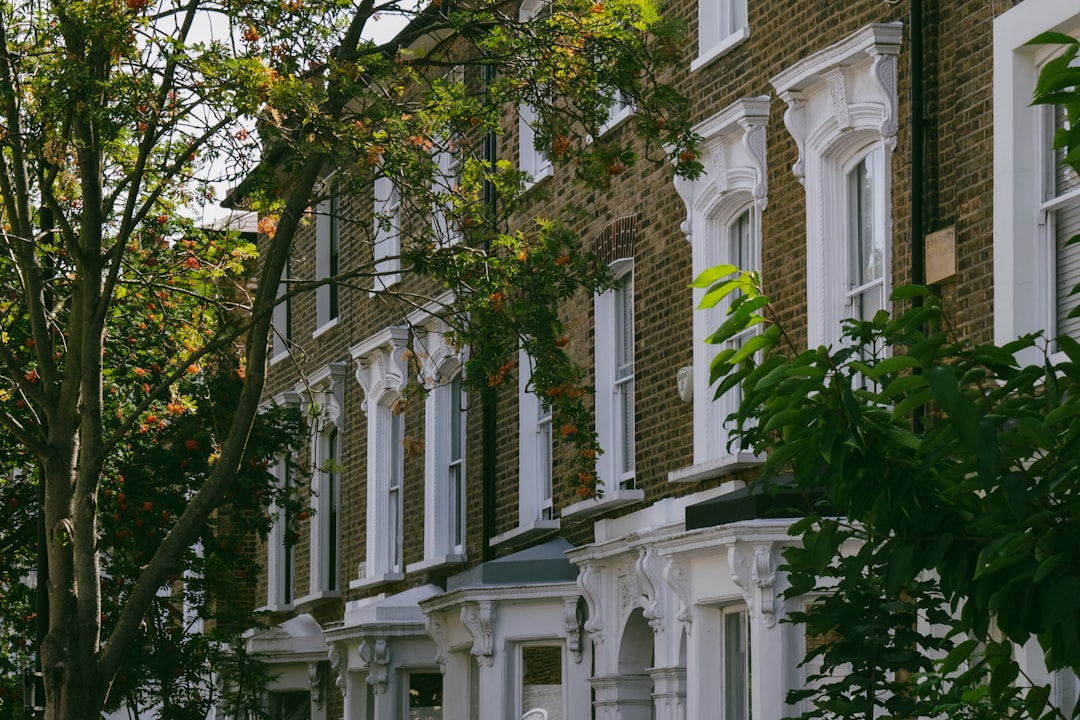 Londres te abre las puertas con tu perro: hoteles donde vos y tu amigo de 4 patas son bienvenidos