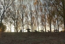 Pinamar en otoño: el secreto mejor guardado de la costa bonaerense que Buenos Aires no quiere que descubras