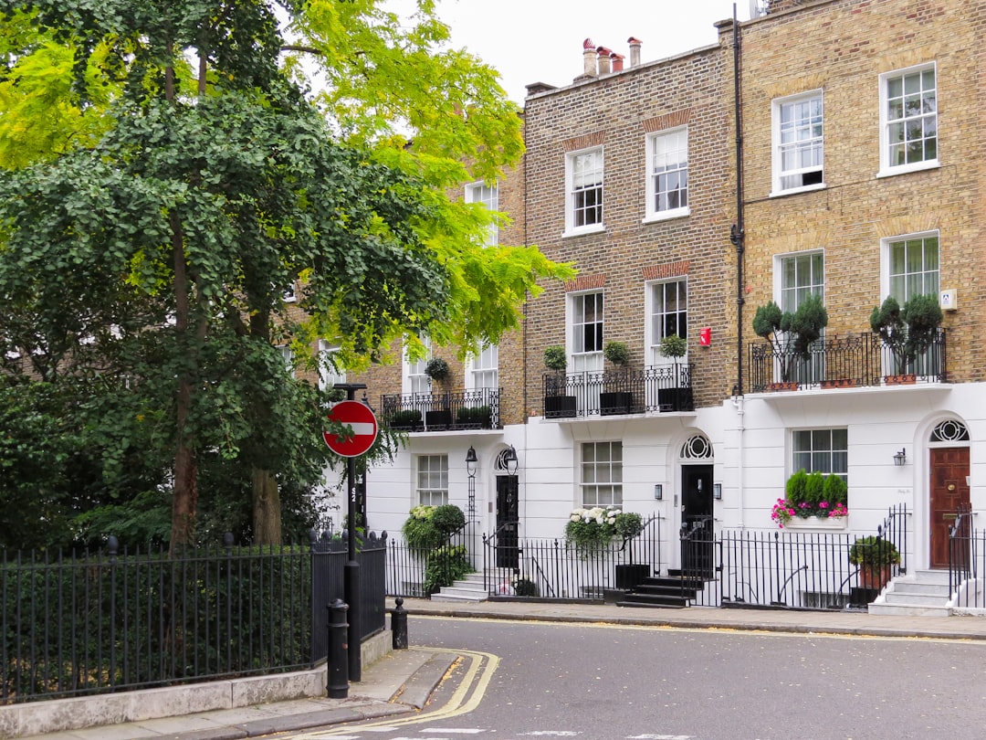 Londres con tu perro: los hoteles dog friendly donde tu compañero peludo es estrella