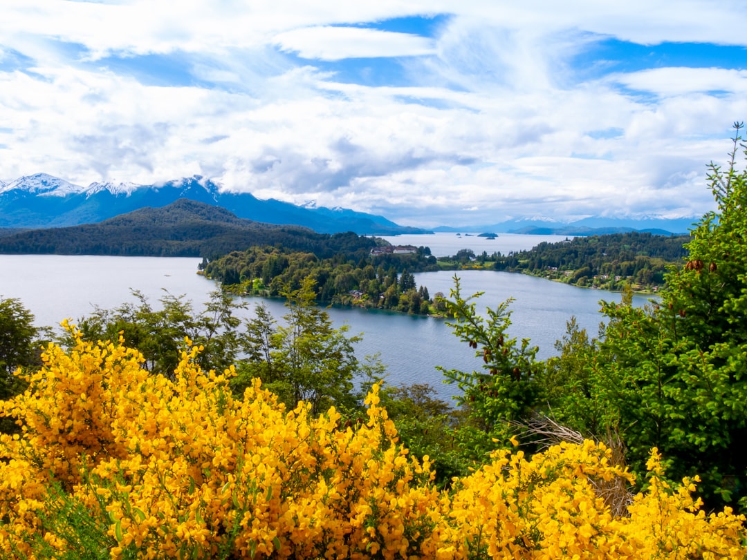 Bariloche con tu perro: la aventura patagónica que ambos se merecen
