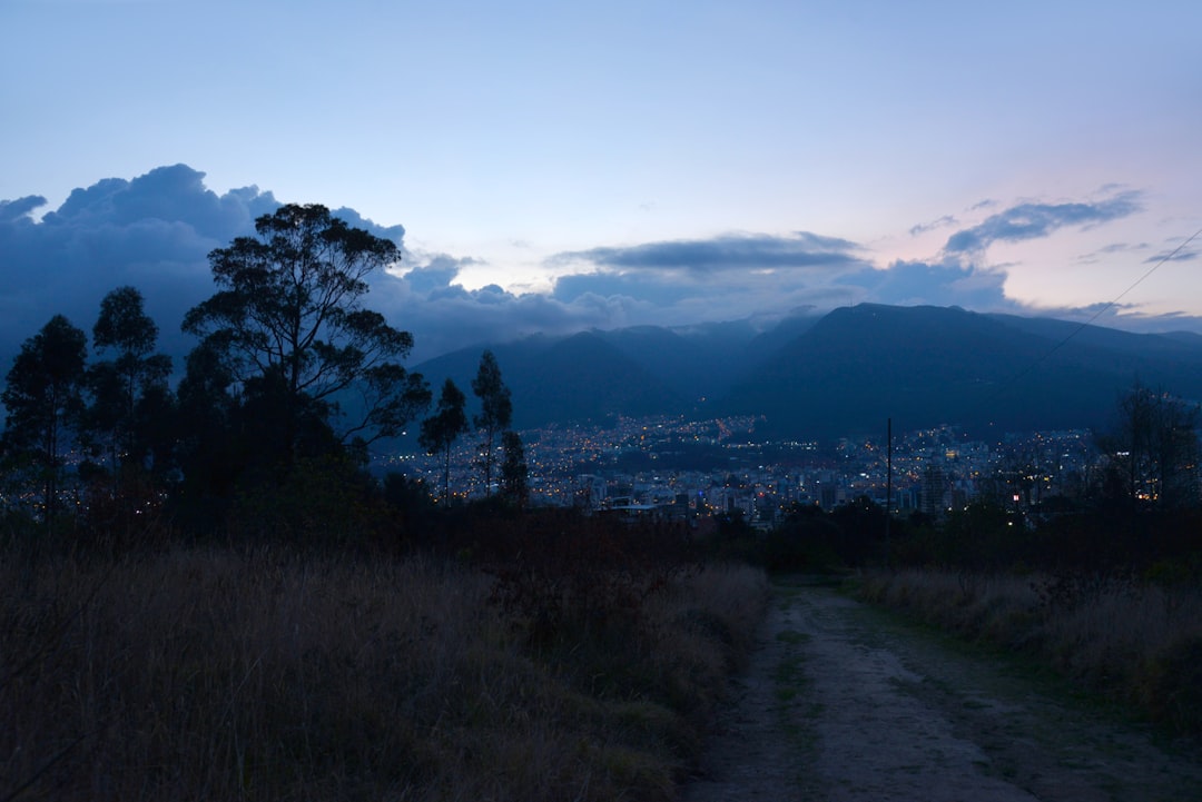 Medellín de noche: la ciudad que desafía sus propios límites en cada barra y club