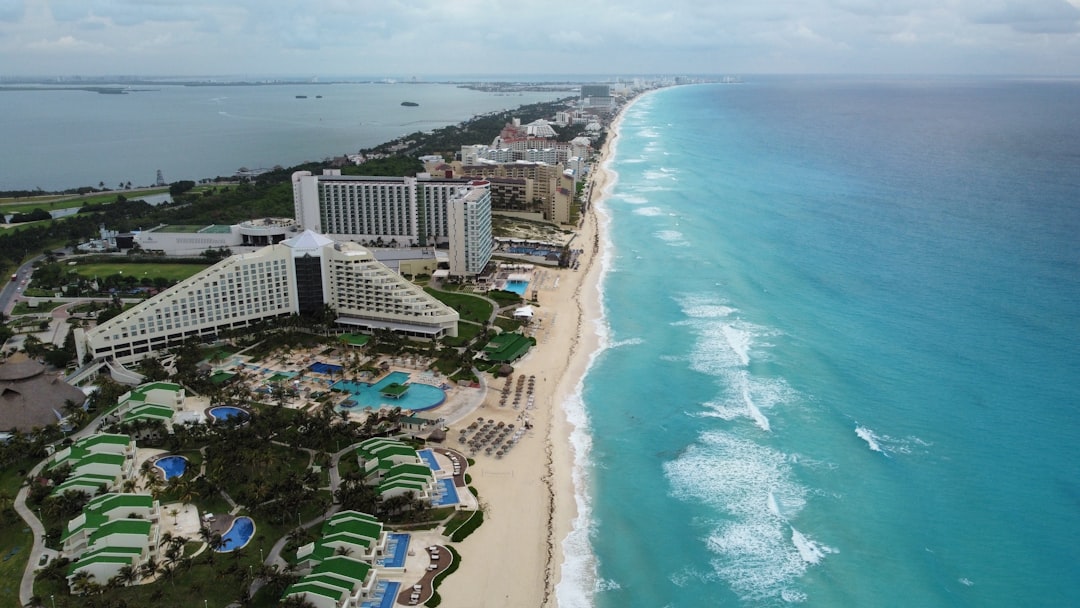Cancún con tu perro: los hoteles donde tu compañero peludo es bienvenido