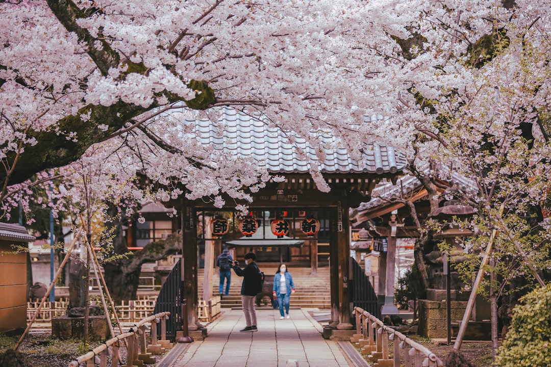Tokio no es solo Shibuya: descubrí el lado más auténtico de la capital japonesa
