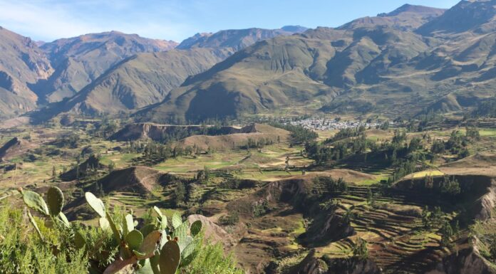 Los pueblos originarios de Salta te esperan: descubrí la cultura que resistió cinco siglos
