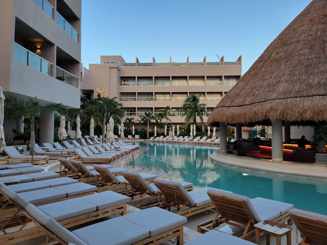 Cancún con tu perro: los hoteles donde tu compañero peludo es bienvenido