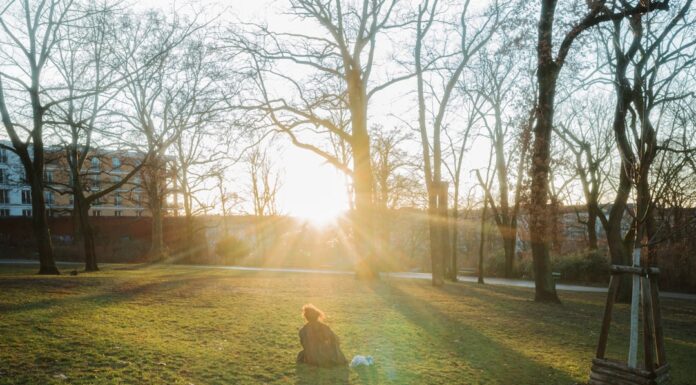 Berlín con tu perro: el Tiergarten es mucho más que un parque