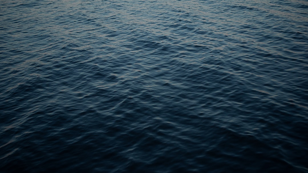 Buceo en Mar del Plata: el mundo submarino que te estaba esperando