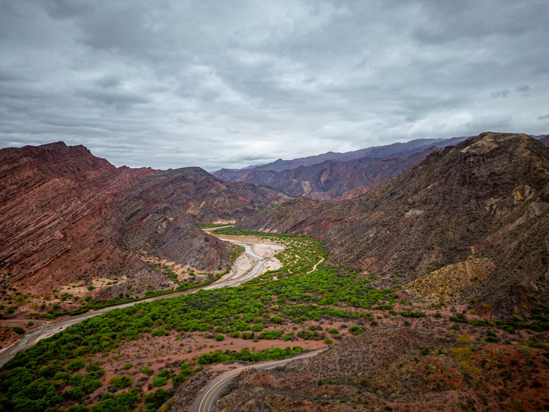 El Torrontés de Cafayate: el vino blanco que te va a enamorar en la primera copa
