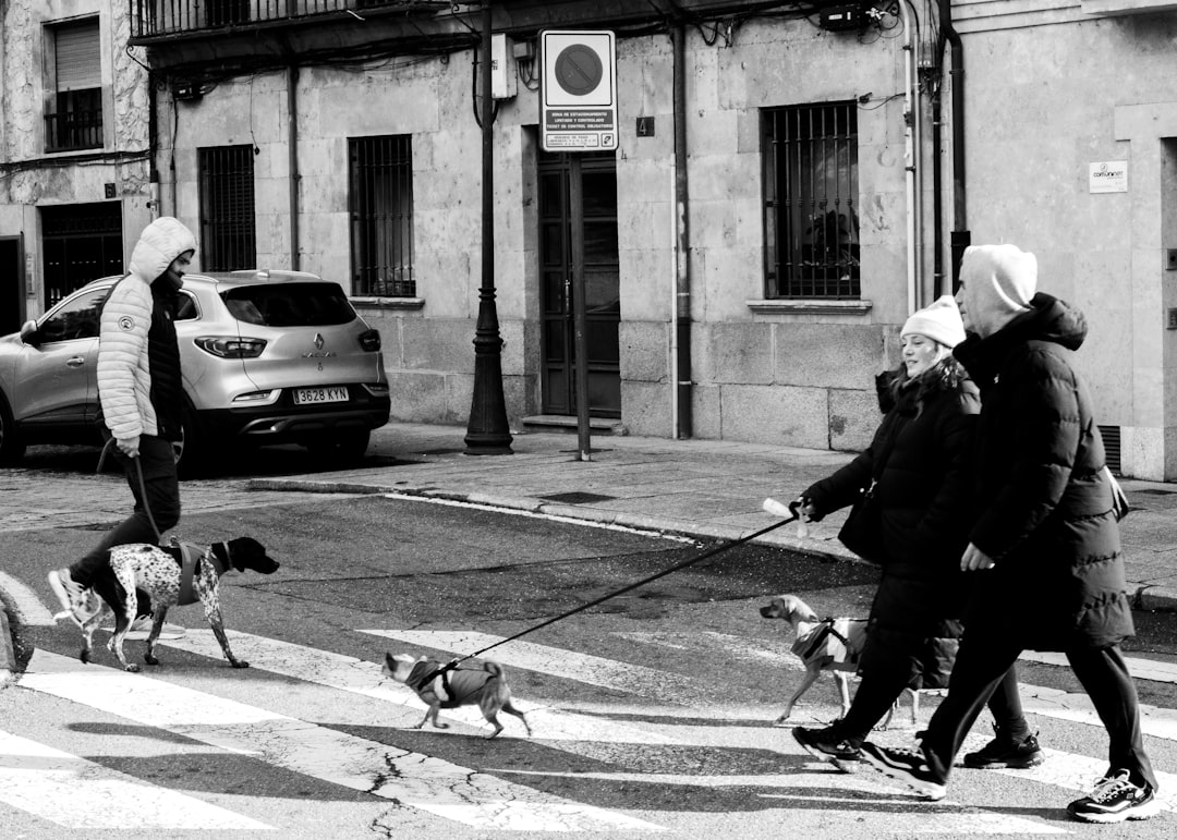 Primavera en Buenos Aires: los 5 parques donde tu perro va a disfrutar como nunca