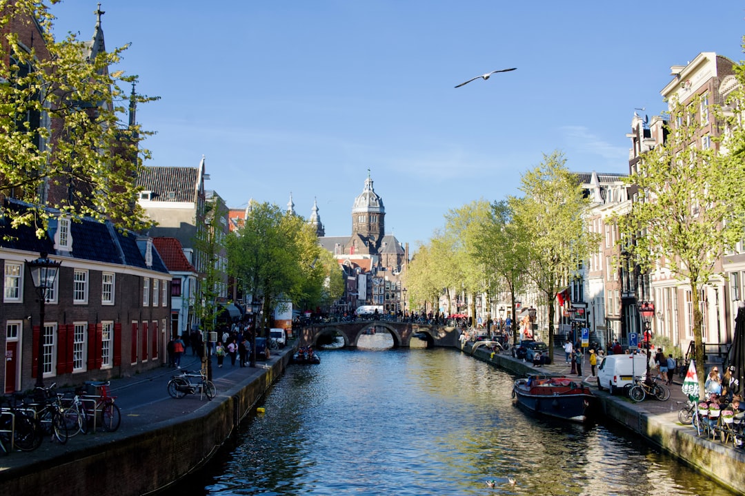 La obra maestra que podés ver restaurarse en vivo: el Rijksmuseum de Ámsterdam te hipnotiza