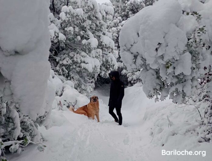 primavera-en-bariloche-barilocheorg-nievenprimavera-1